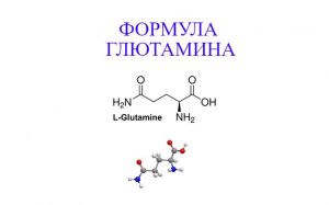 глютамин за и против