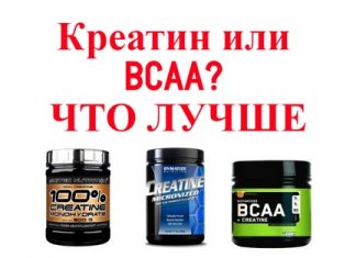 выбираем между креатином и BCAA