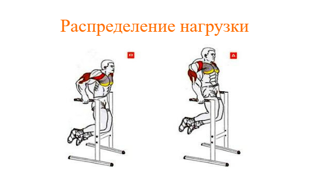 полный цикл
