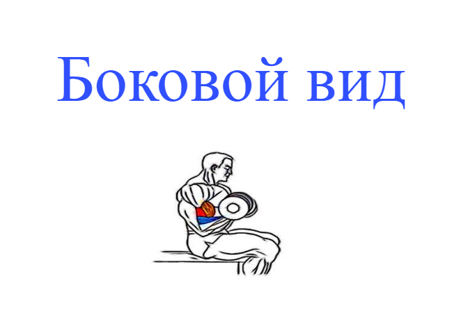 вид со стороны