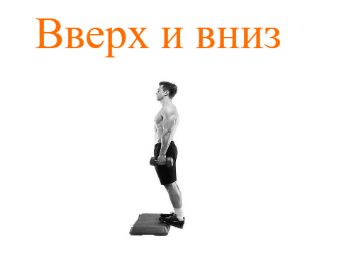 подъем с гантелями